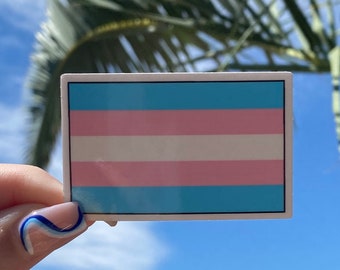 Pegatina de la bandera del orgullo transgénero / Pegatinas de aventura / Banderas del orgullo / Pegatina del orgullo / Pegatina de la bandera del orgullo / Pegatina impermeable / Bandera trans