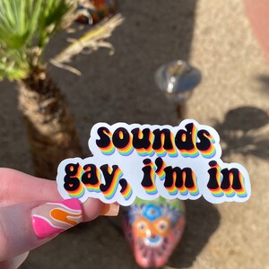 May include: A rainbow sticker with the text "Sounds gay, I'm in" in black letters.