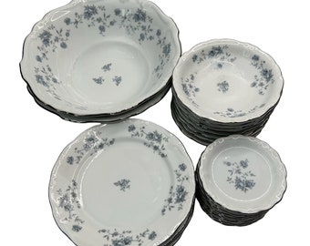 Johann Haviland Bavaria Blue Garland dishes bowls/plates