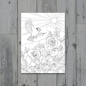 Birds Printable Colouring Sheet - Digital Download Colouring Pages - All Ages Nature Coloring Page