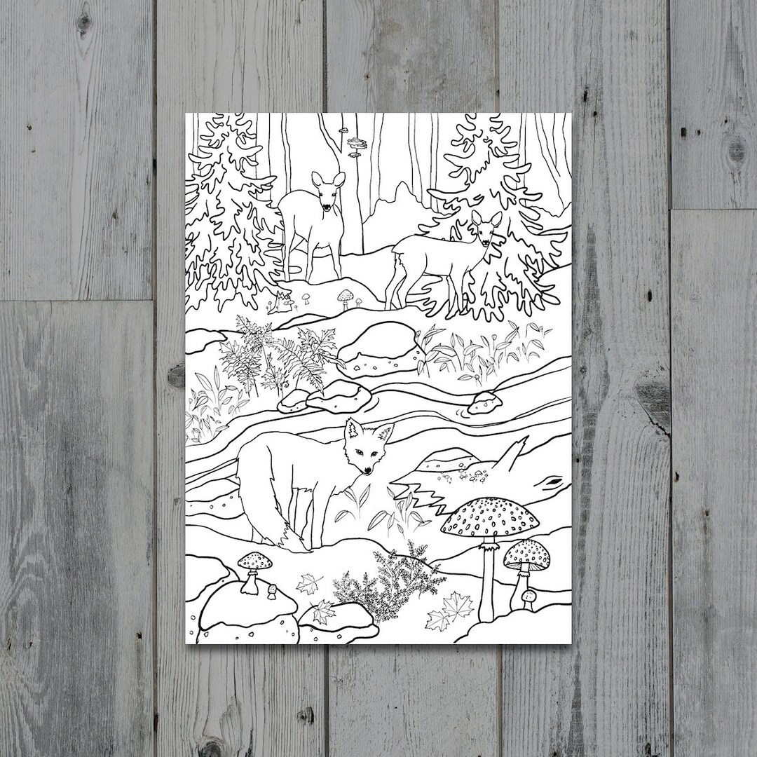 Forest Printable Colouring Sheet - Digital Download Colouring Pages ...