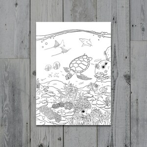 Coral Reef Printable Colouring Sheet - Digital Download Colouring Pages - All Ages Nature Coloring Page