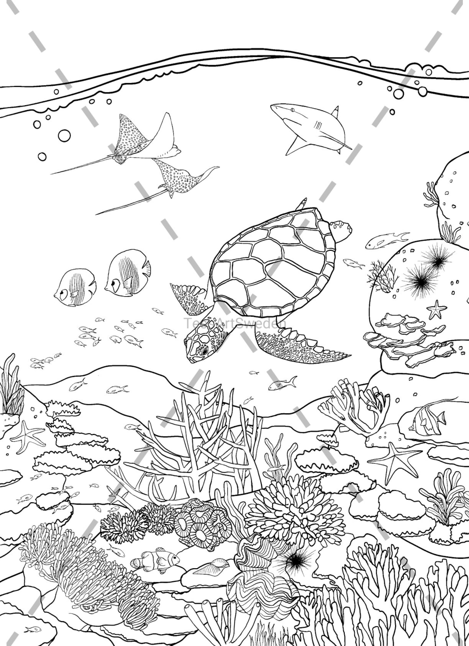 Coral Reef Printable Colouring Sheet Digital Download Colouring Pages