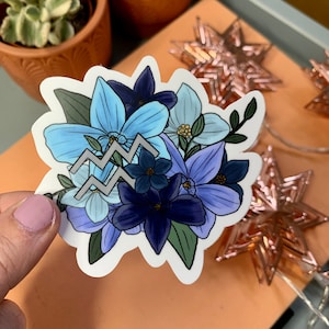 Aquarius Sticker | Zodiac Sticker | Astrology Sign Sticker | Aquarius Zodiac Sticker | Subtle Aquarius Zodiac Sticker | Laptop Sticker