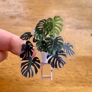 Monstera Plant Clear Sticker - 51x57mm