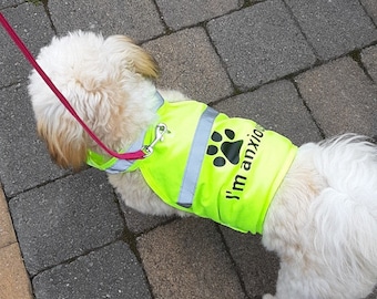 personalized therapy dog vest