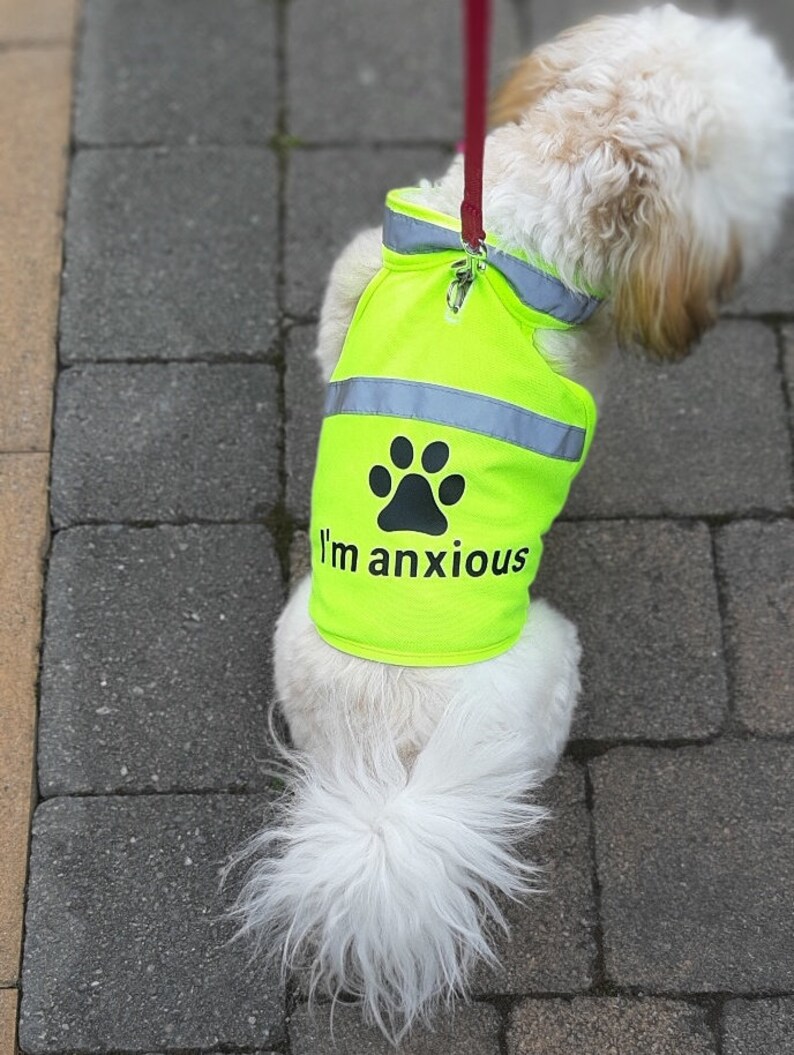 pets at home hi vis dog coat