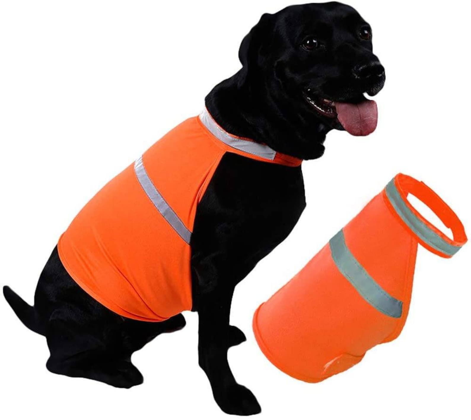 Personalised High Vis Dog Coat Custom Printed Hi Viz Pet Etsy Australia