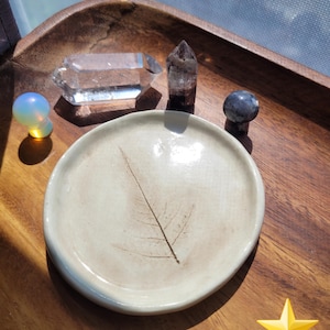 Botanical Fern Imprint Ceramic Trinket Dish, Spoon Rest