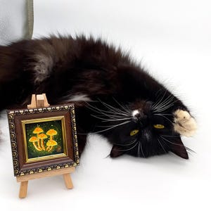 May include: A small framed painting of a cluster of yellow mushrooms on a green background. The painting is on a wooden easel and a black and white cat is lying on its back in front of it.