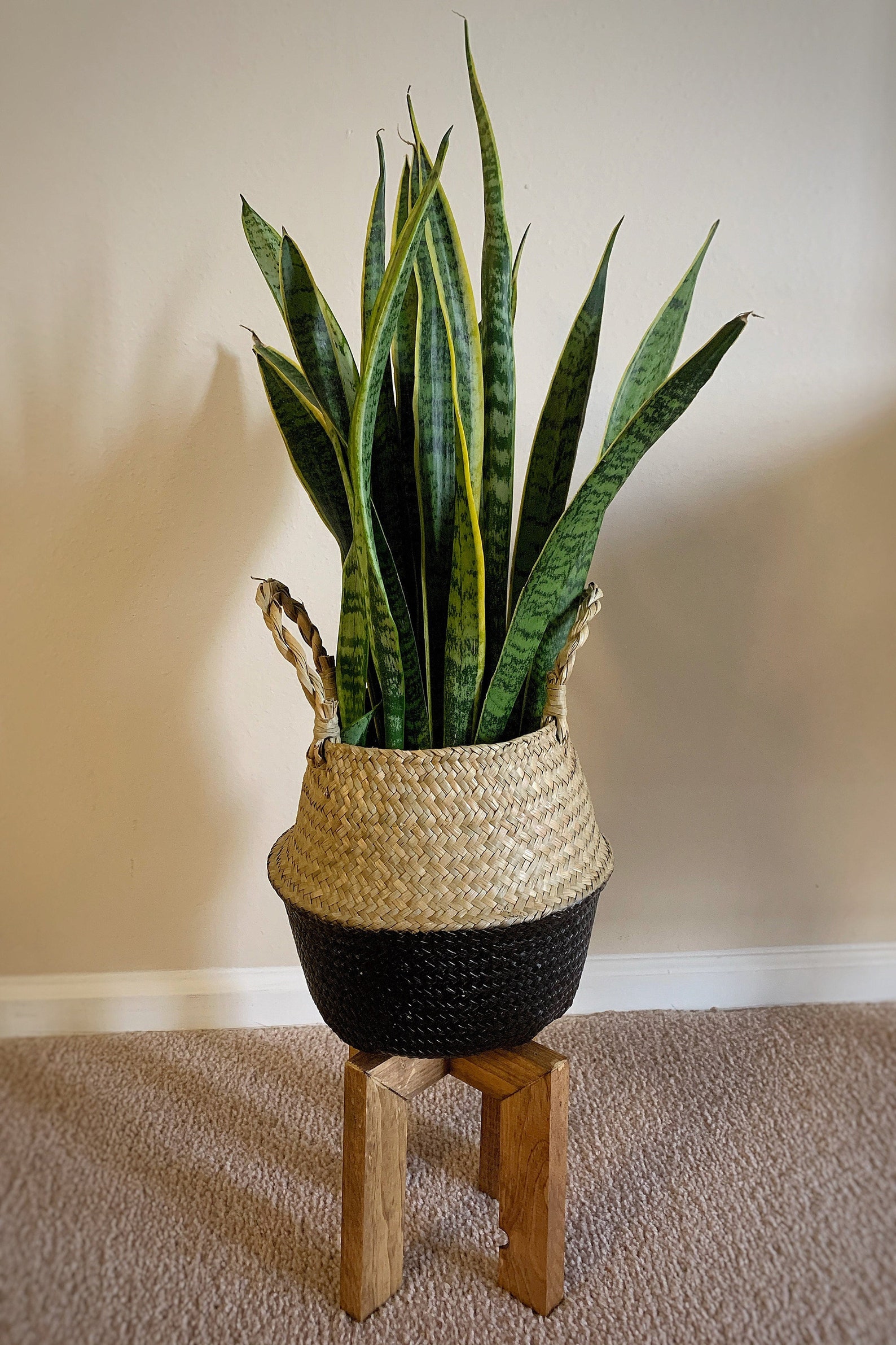 Soporte de planta de madera / Tamaño del soporte de la olla | Etsy