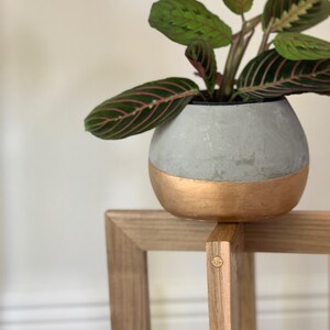 Soporte de planta de madera / Tamaño del soporte de la olla | Etsy