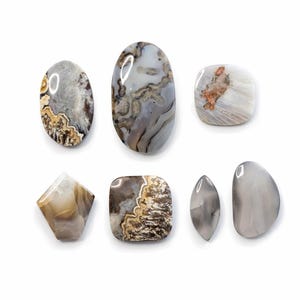 May include: An assortment of polished agate gemstones in various shapes, including oval, square, and teardrop. The stones display a range of colors, from creamy white and gray to brown and tan, with intricate patterns and banding.