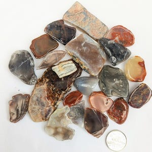Bay of Fundy Agates, Polished, Nova Scotia, Canada, Moss, Banded, Cold Water