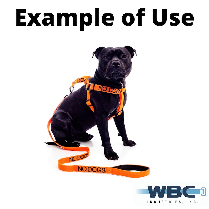 Sold by the Yard Polyester Webbing No Dogs