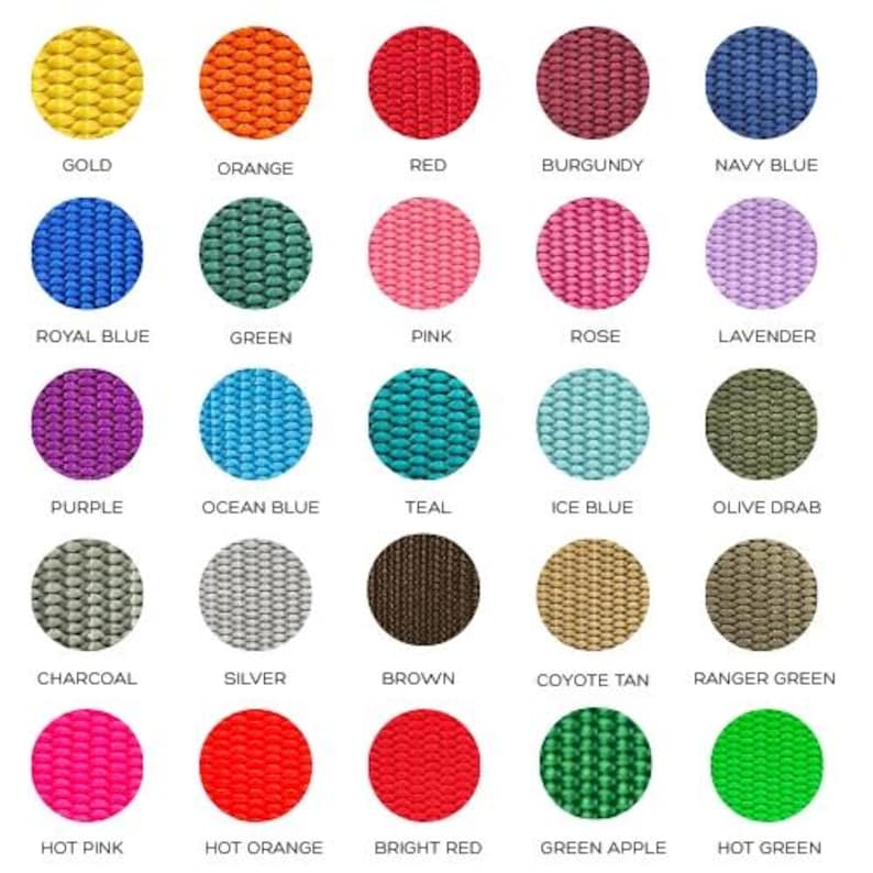 Heavy Nylon Webbing | 1" Wide | 20+ Colors Available! image 3