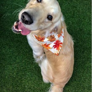 Dubbelzijdige huisdierbandana met kleine lente-thema | Gepersonaliseerde huisdieraccessoire | Omkeerbare bandana voor honden, katten of andere huisdieren (maat Small)