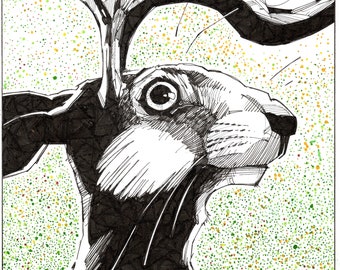 What the Jackalope Know