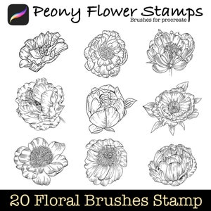 20 Peony brush stamps Collection, procreate floral / flower tattoo brushes set, Digital stamp Templates for iPad pro