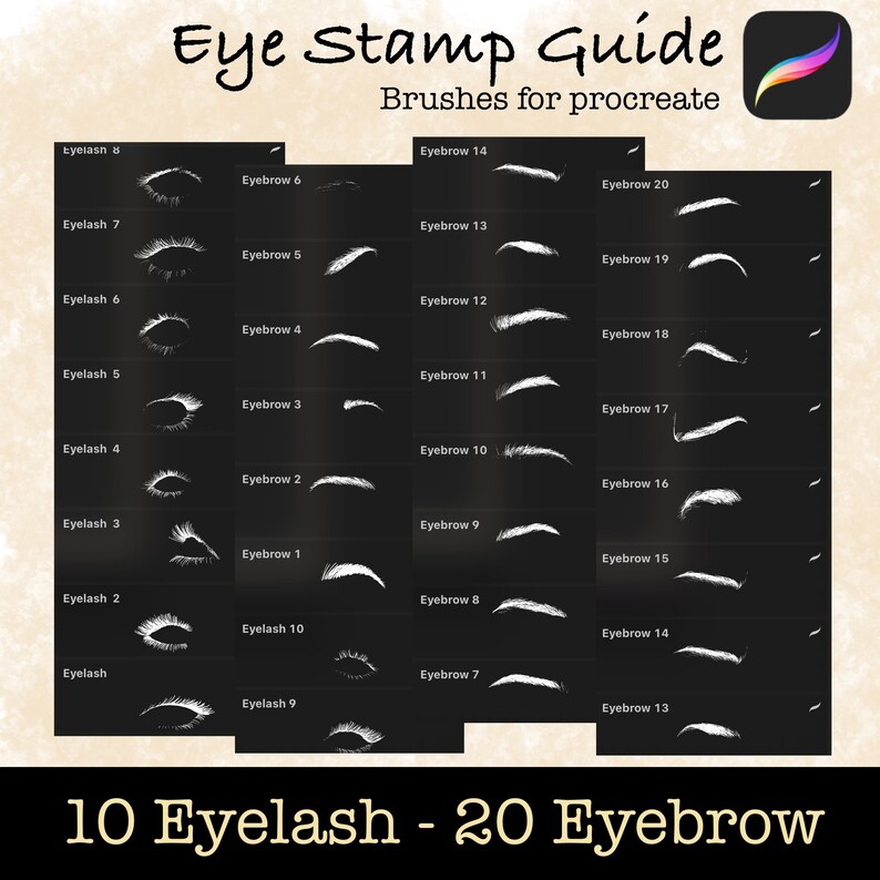 Eyes Brushes Guide for Procreate App 30 Procreate Realistic Eyelash and Eyebrows Stamp Brushes Digital illustration paint Portrait