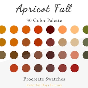 Apricot Fall color swatches | Procreate color palette | Instant Download, iPad Procreate App