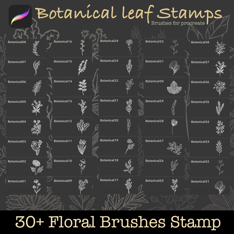 Procreate Botanical Stamp 30 Procreate Botanical Brushes - Etsy