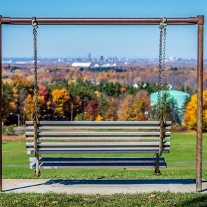 Chestnut Ridge Swing Overlooks Buffalo Skyline Photo