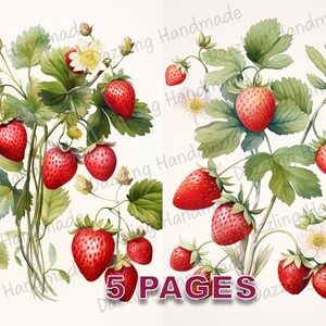 Cartão postal gasto de flores de morango, diário lixo para impressão, coisas efêmeras, aquarela, licença comercial, download instantâneo, álbum de recortes, arte vintage D444