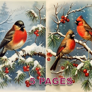 Winter Birds Postcard Junk Journal Imprimable Ephemera Aquarelle Clipart PNG Licence commerciale Téléchargement instantané Scrapbook Noël D341