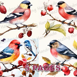 Zimowe ptaki pocztówka Junk Journal Wydrukuj Ephemera Akwarela Clipart PNG Licencja komercyjna Natychmiastowe pobieranie Scrapbook Boże Narodzenie D472