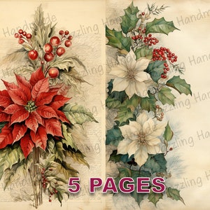 Boże Narodzenie Poinsecja Wiktoriańska pocztówka Junk Journal Wydrukuj Ephemera Akwarela PNG Licencja komercyjna Natychmiastowe pobieranie Scrapbook D212