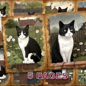 Puede incluir: Un collage de cinco imágenes con gatos negros y blancos en varias poses. Los gatos están representados en un estilo caprichoso con una estética vintage. Cada imagen presenta un fondo diferente, incluyendo un jardín, una pared de ladrillo y una valla de madera. El texto "5 PAGES" es visible en la parte inferior del collage.
