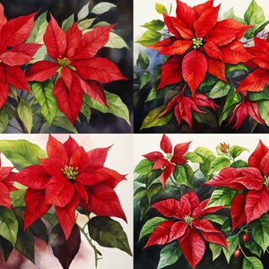 Poinsettia de Noël Carte postale victorienne Junk Journal Imprimable Ephemera Aquarelle PNG Licence commerciale Téléchargement instantané Scrapbook D403