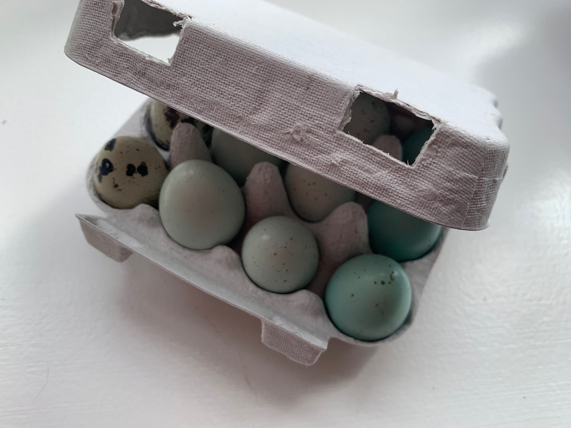 Quail egg boxes pulp cartons dozen UK pack of 20 Etsy