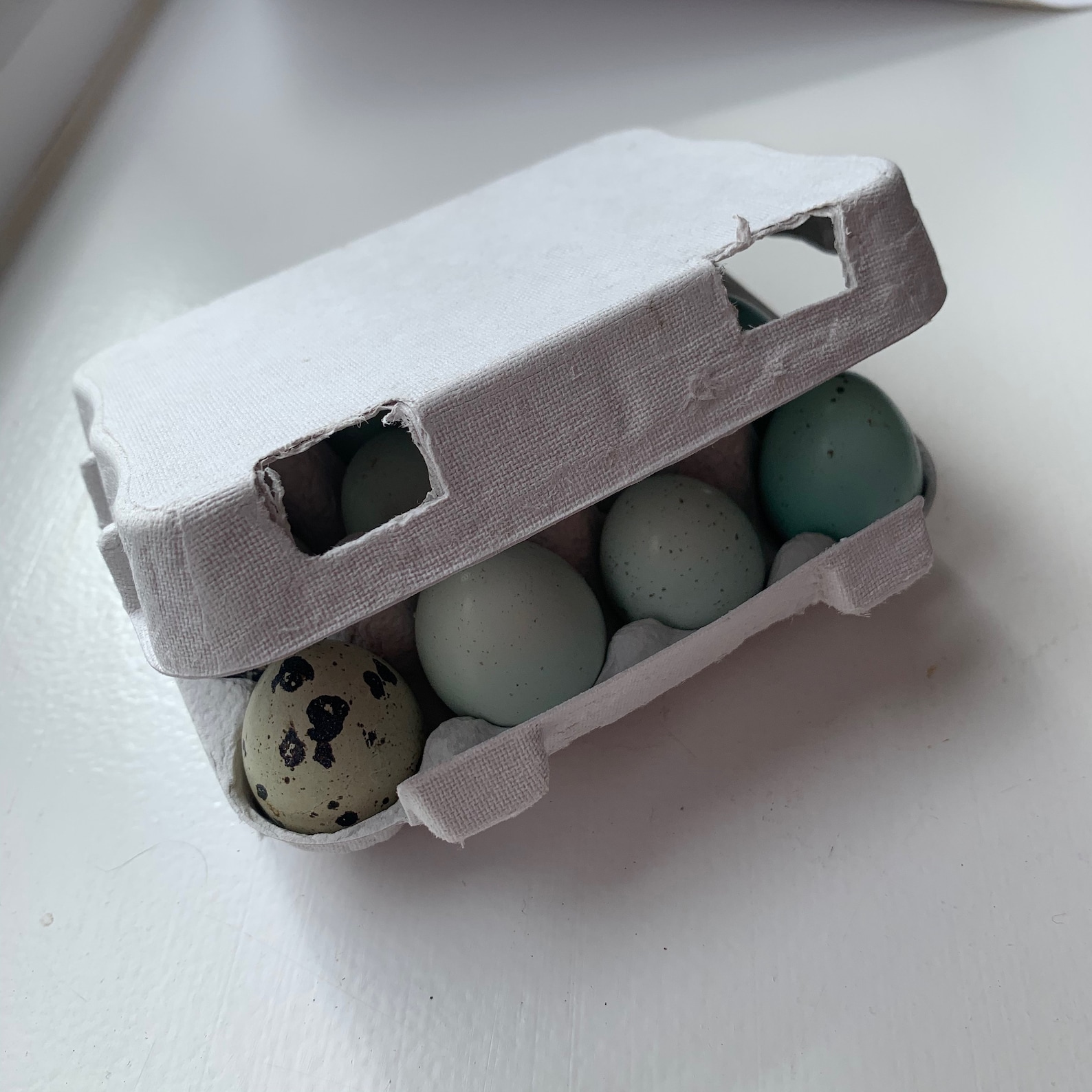Quail egg boxes pulp cartons dozen UK pack of 20 Etsy