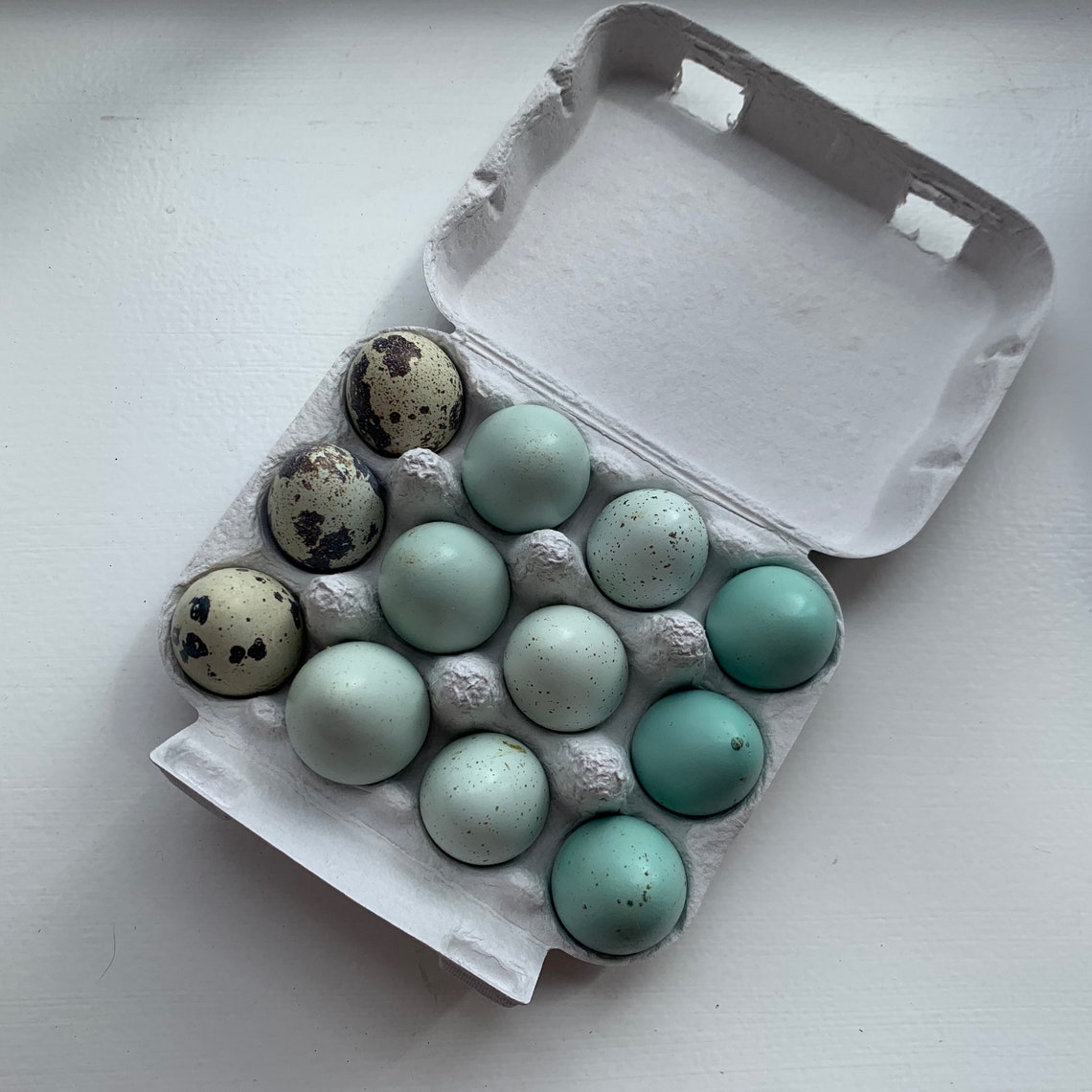 Quail egg boxes pulp cartons dozen UK pack of 20 Etsy