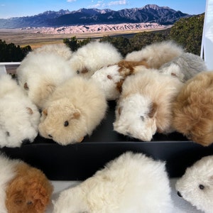 Guinea  G-Force Pigs . Made with 100% natural alpaca fur.