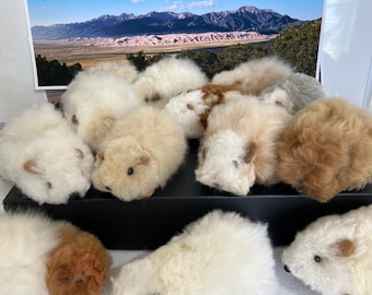 Guinea  G-Force Pigs . Made with 100% natural alpaca fur.