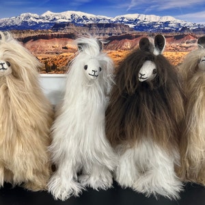 Puede incluir: Cuatro peluches de llama esponjosos en diferentes colores: beige, blanco, marrón y beige. Los peluches están sentados sobre una superficie negra frente a una imagen de una cordillera.