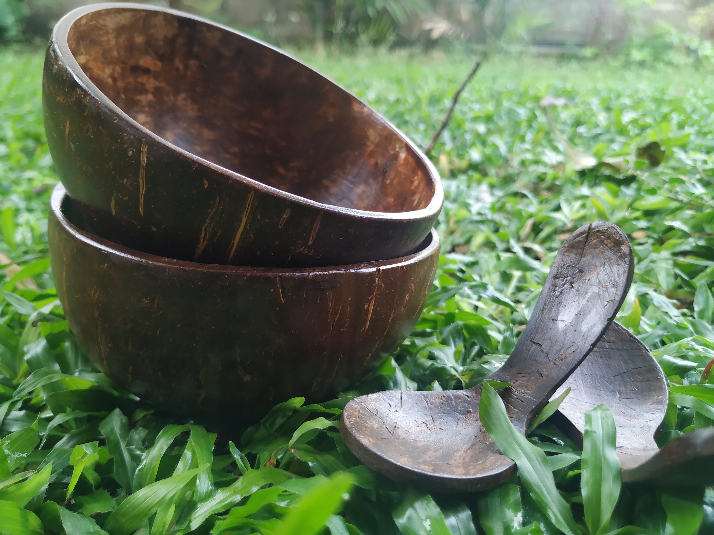 Handmade Coconut Shell bowls Natural Coconut bowls with Etsy