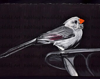 Touch of Colour Female Cardinal - Soft Pastel Artwork