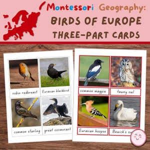 Birds of Europe (Real Photos) 3-Part Cards, Montessori Primary Geography and Zoology: Eurasian Birds Language Cards