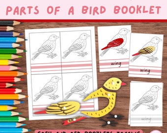 Learning Parts of a Bird Mini Booklet; Cut, Color, Write / Trace, Comes With Colored Control Masters, A4 & US Letter (Montessori Zoology)