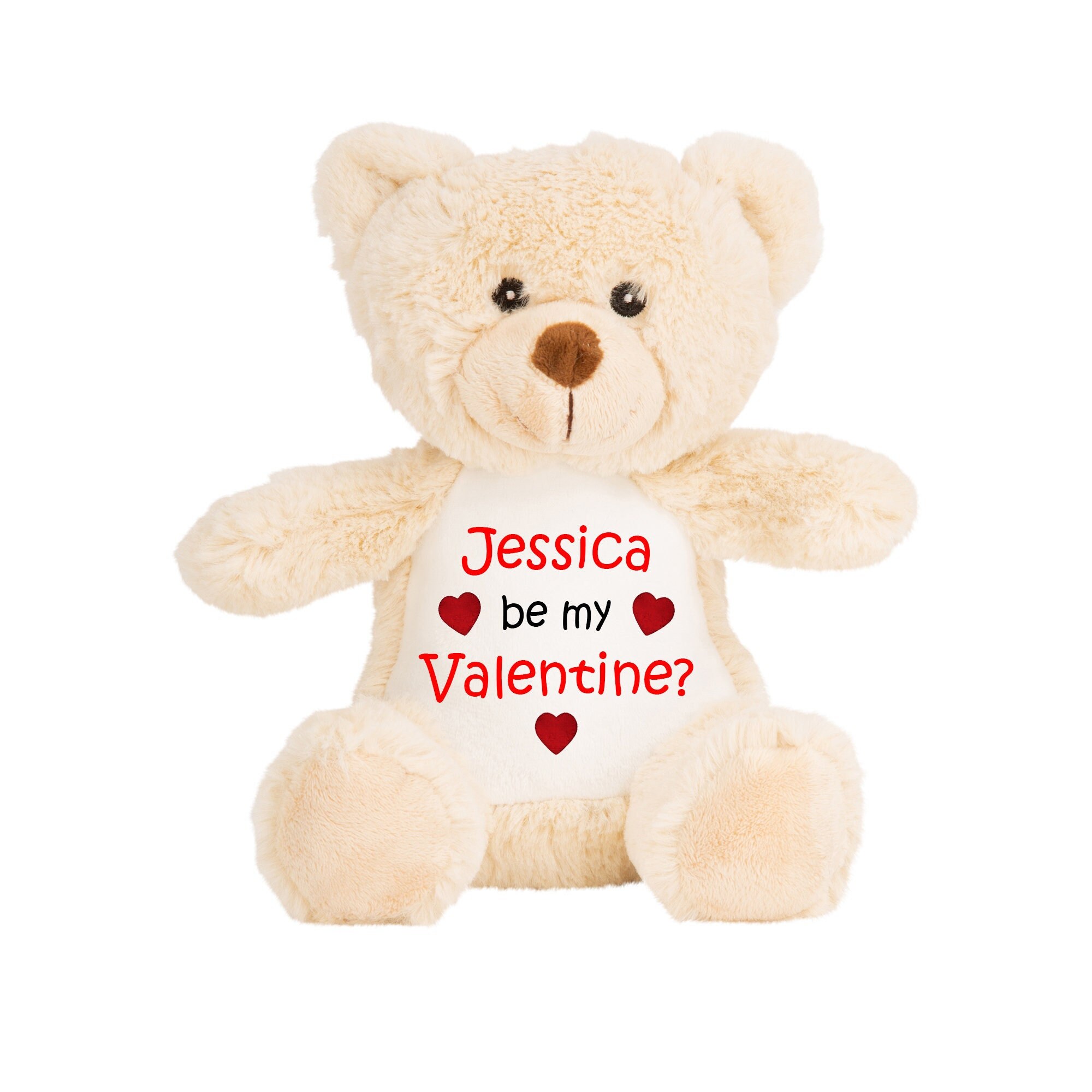 Be My Valentine Bear, Valentines Day Gifts for Him Teens Boyfriend,  Valentines Day Gifts for Teens, Personalized Valentine's Day Teddy Bear 