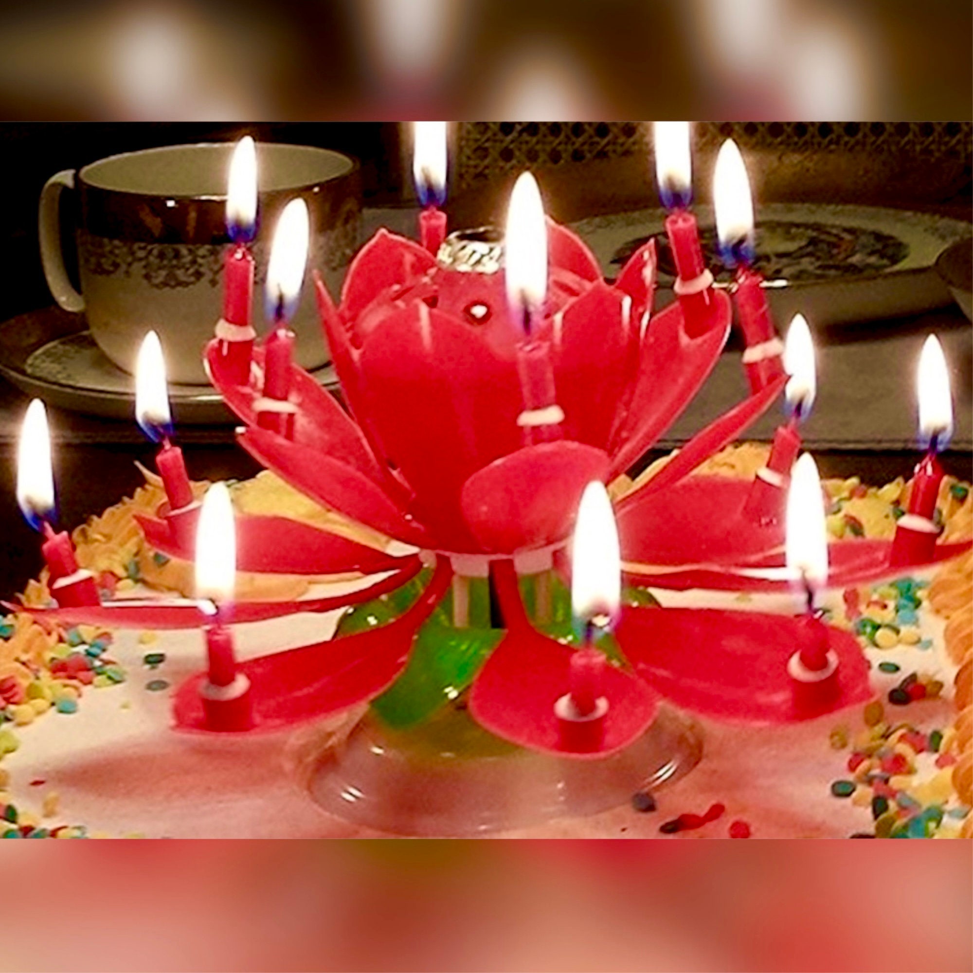 Magic Cake Geburtstag Lotus Flower Decoration Blossom Geburtstagskerze S4C8