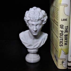 Marcus Aurelius (Caesar Augustus) Bust; Statue of the Roman Emperor; Stoic Philosopher