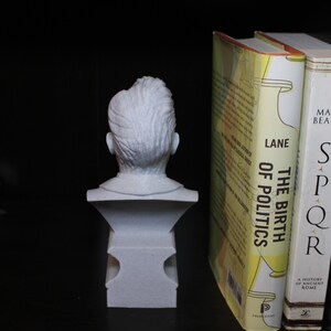 Puede incluir: Busto de yeso blanco de una persona con el pelo corto y ondulado. El busto est&aacute; sobre un pedestal blanco. El busto est&aacute; delante de una estanter&iacute;a con dos libros. El libro de la izquierda tiene el t&iacute;tulo "The Birth of Politics" y el libro de la derecha tiene el t&iacute;tulo "SPQR: A History of Ancient Rome".