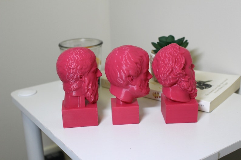 Puede incluir: Tres bustos de hombres barbudos impresos en 3D de color rosa. Los bustos est&aacute;n sobre peque&ntilde;as bases cuadradas.