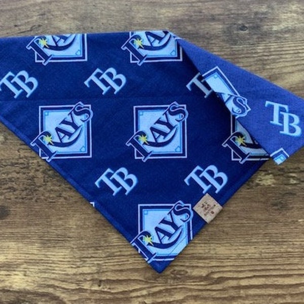 tampa bay rays tie