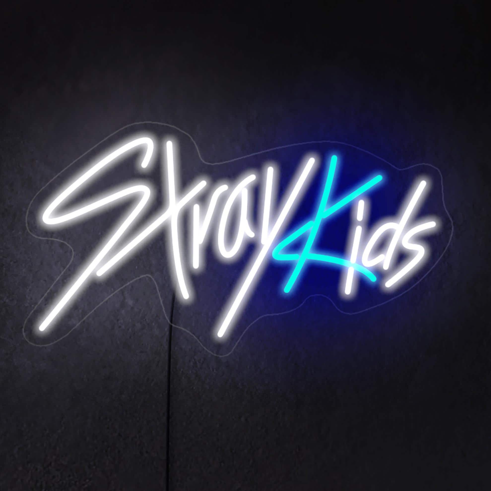 アイエン　直筆サインチェキ　stray kids stray kids サイン アイエン 直筆サインチェキ stray kids IN スキズ